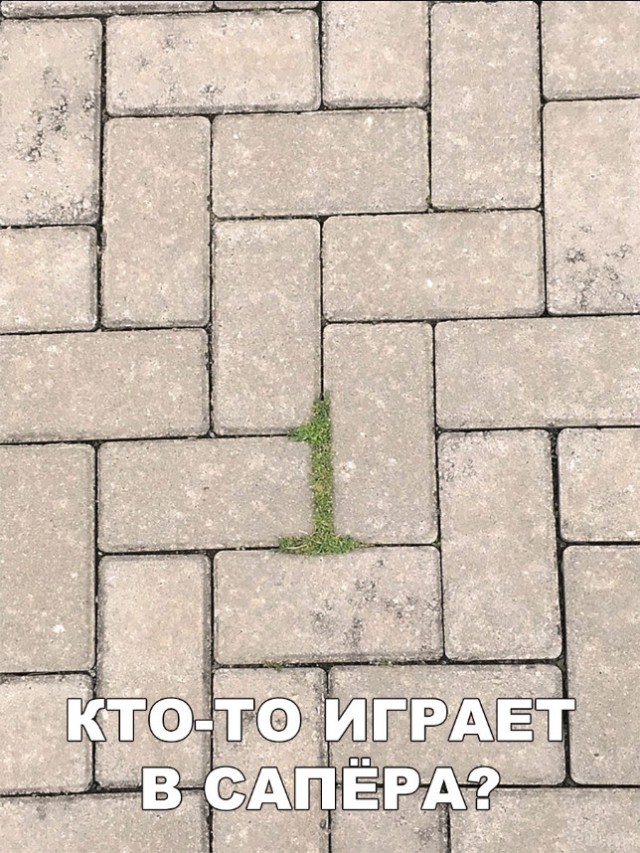 Нестандартный юмор