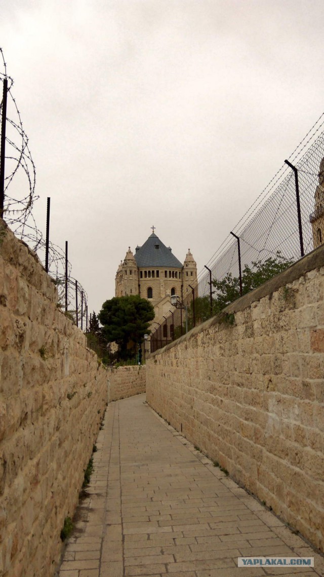 Первая поездка в Израиль. Часть 2