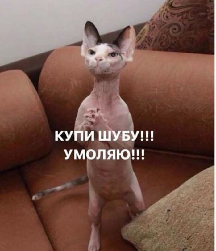 Это Сибирь! Привет курортам Краснодарского края