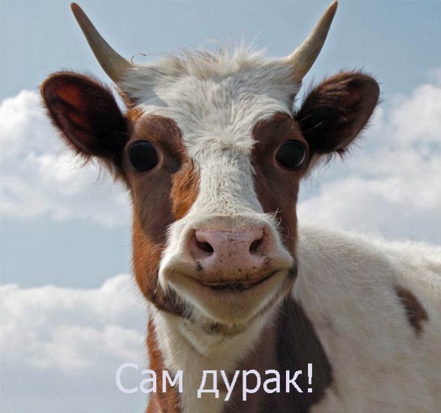 Пост о глобальной беде не только России но и всего человечества
