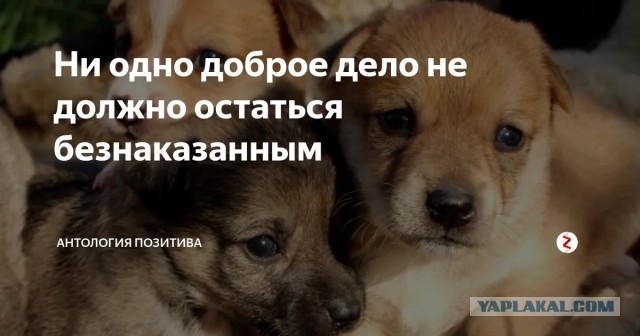 В Казани предприниматель стал раздавать хлеб пенсионерам бесплатно, но в ответ получил только негатив