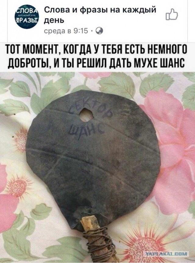 Улыбкой вдарим по дошираку
