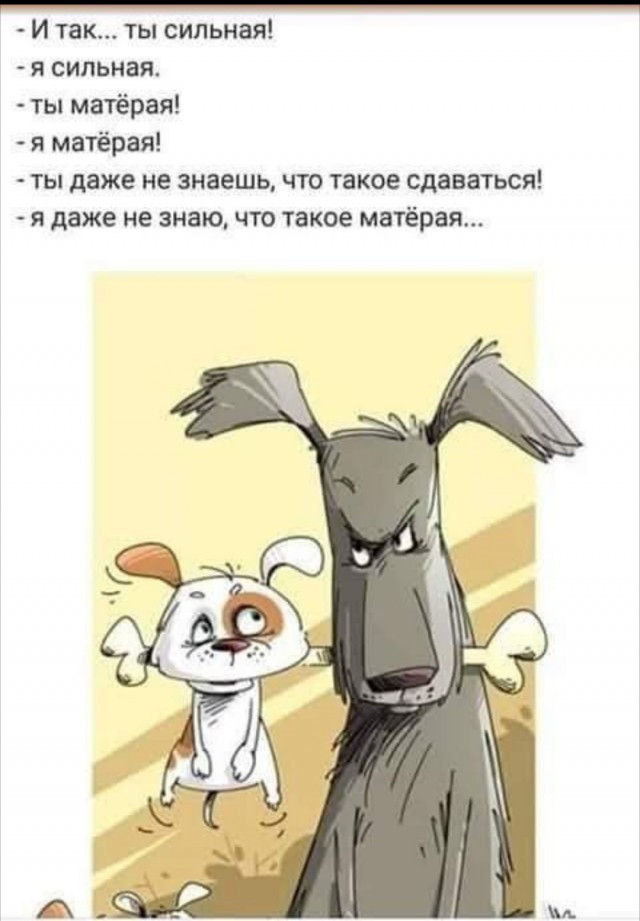 Снова бредзона