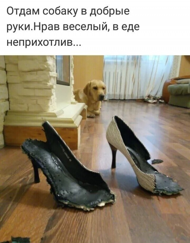 Чуток картинок. Ночные