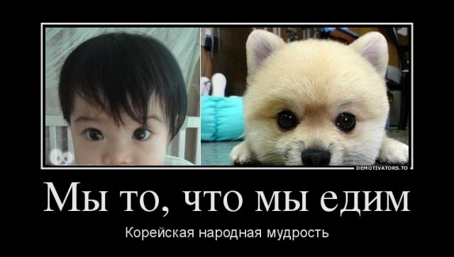 Немного картинок и демотиваторов со старого винта