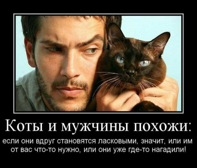 Так себе картинки #13