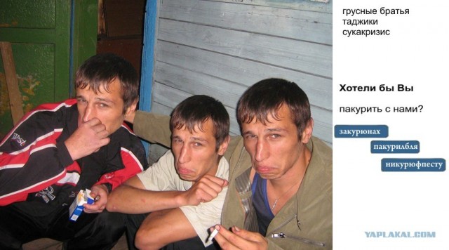 Хотели бы вы?..