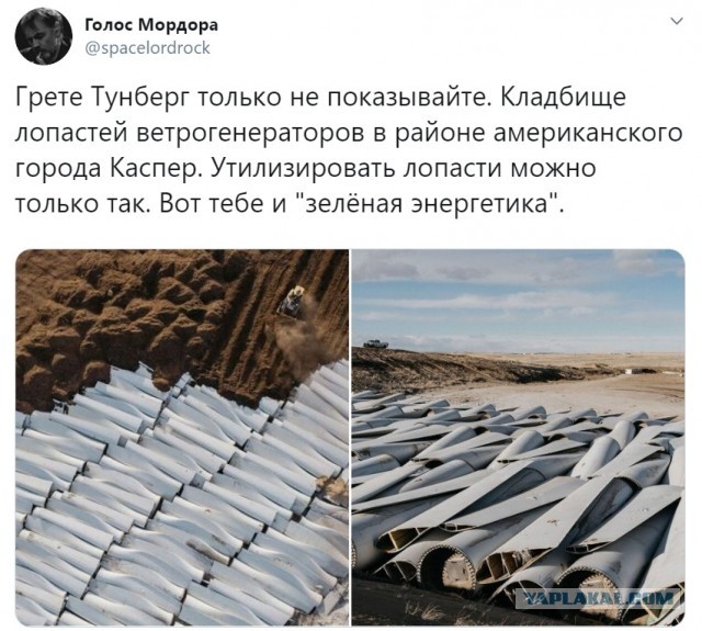 Самые скандальные прогнозы Илона Маска
