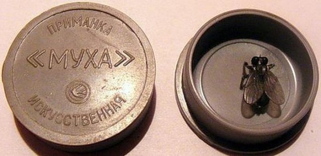 История в фотографиях 26.08.2021