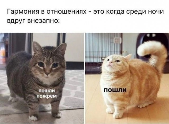 Так себе картинки 30.08.21