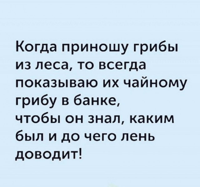 Картинки и мемы, всем прекрасных выходных