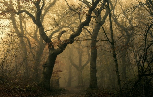 10 идей, чем заняться на выходных