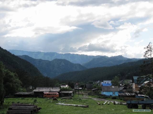 Прогулка по Алтаю
