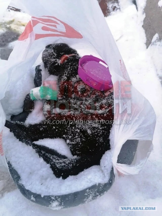 Так выглядит предательство