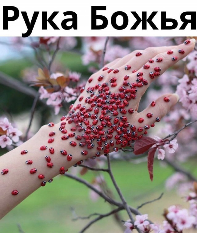 Так себе картинки 12.04.22