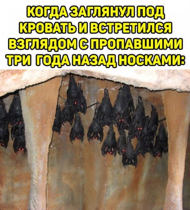 Баянисто-небаянистый юмор 21.04.22