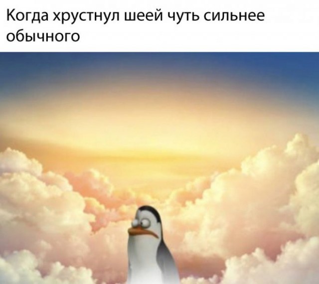 Немного баянов вам в ленту