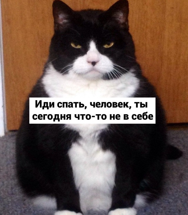 Пандемия. Коронавирус и съехавшие крыши. Россия и мир. Часть 35