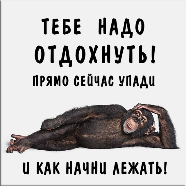 Пожалуй самую нелепую смерть года удалось запечатлеть в Китае
