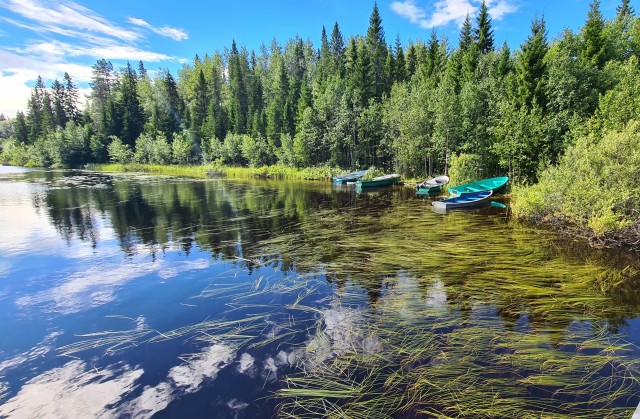 Поделимся красивыми фото с телефона?