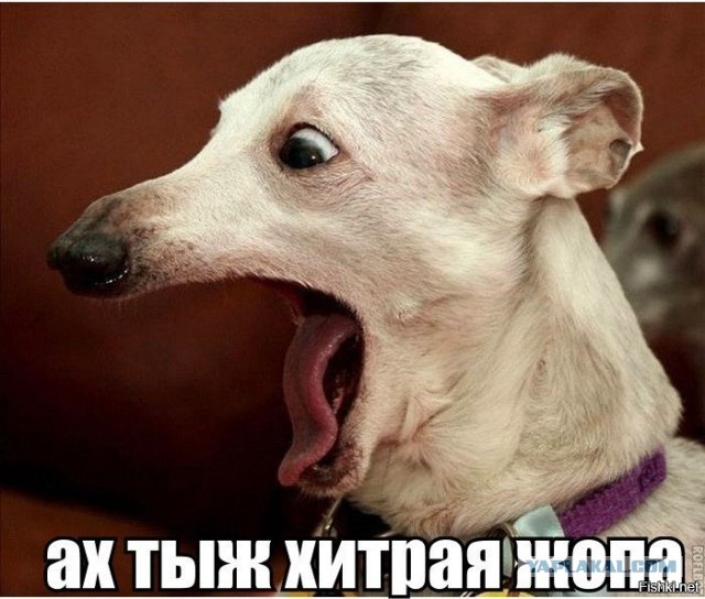 Какую вы предпочитаете, слева или справа?
