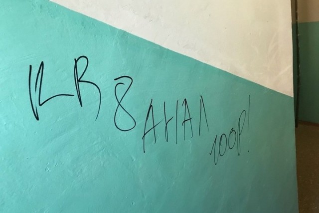 Расписала стены