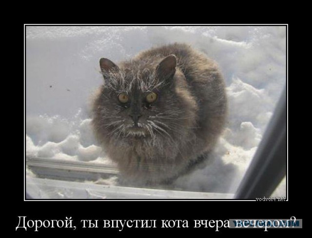 Вы чо там, все оглохли что-ли?!