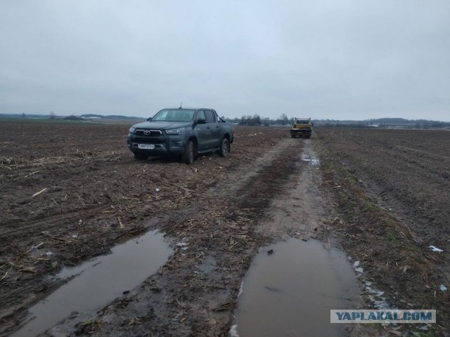 Жизнь домашнего приюта для котеек 431