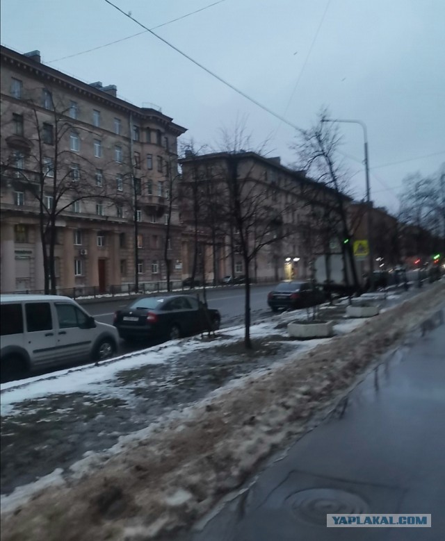 Серая стена куда лучше портрета Пушкина