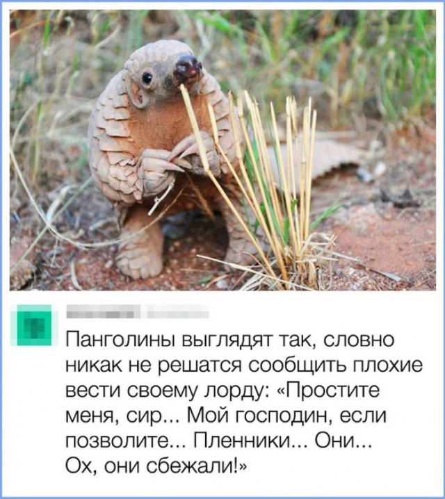 Скриншоты и комментарии из социальных сетей 12.05.23