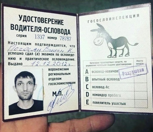 Опять самокатчик