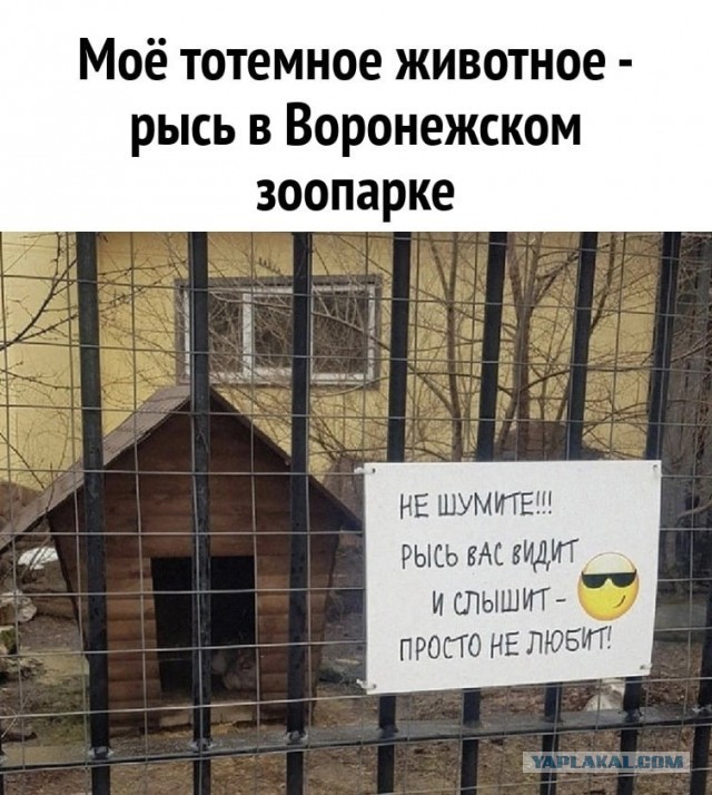 Фото подборка, от Скодеро