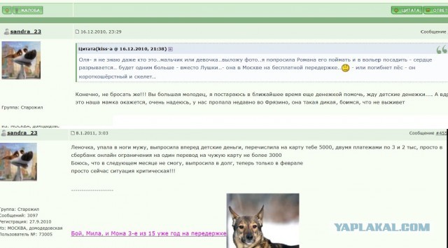 Женщина 40-50 лет с ребенком: приставы составили условный портрет самого бедного должника