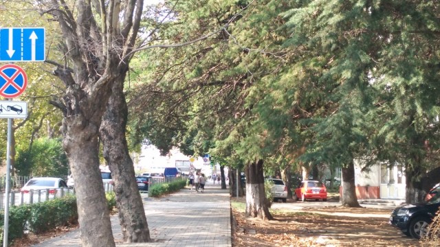 ККК Лазаревское, начало сентября