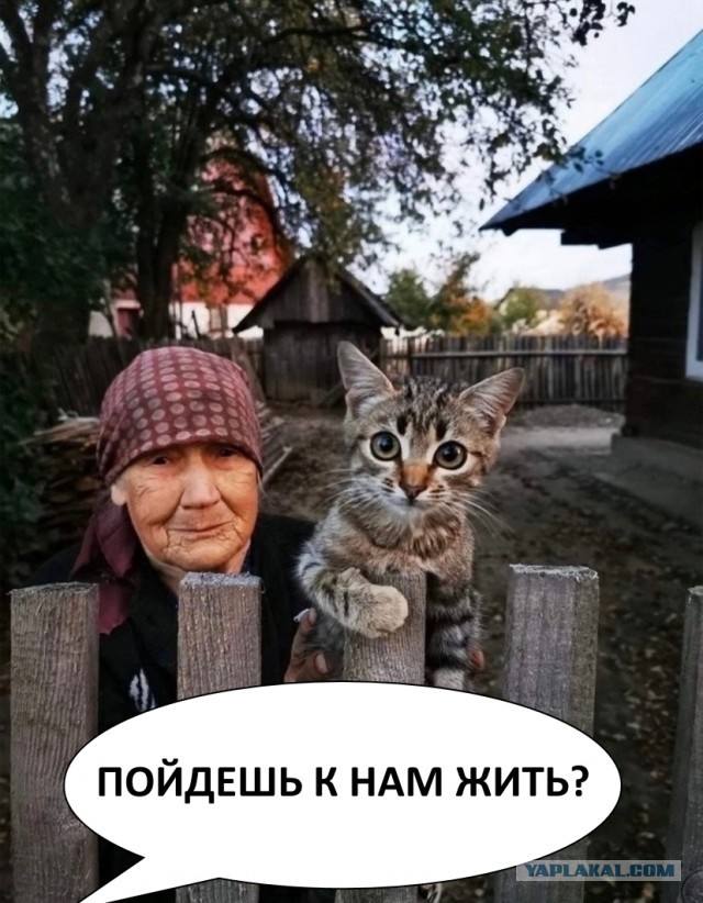 Так себе картинки 11.05.24