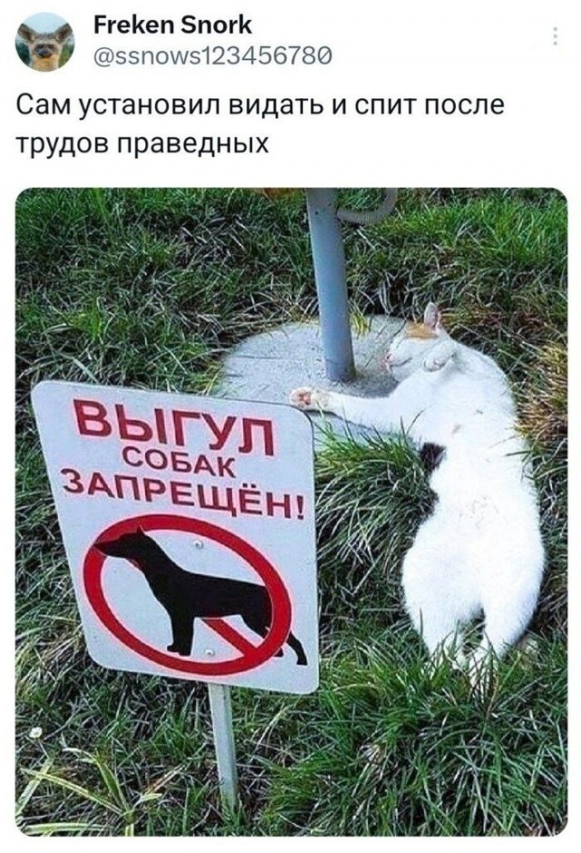 Картинки от Scodero