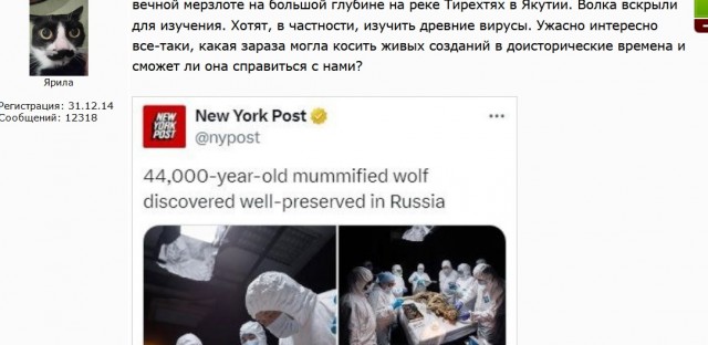 В Сибири нашли мумию волка, которому 44 тысячи лет