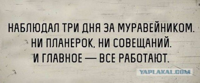 Подборка баянов семилетней давности.
