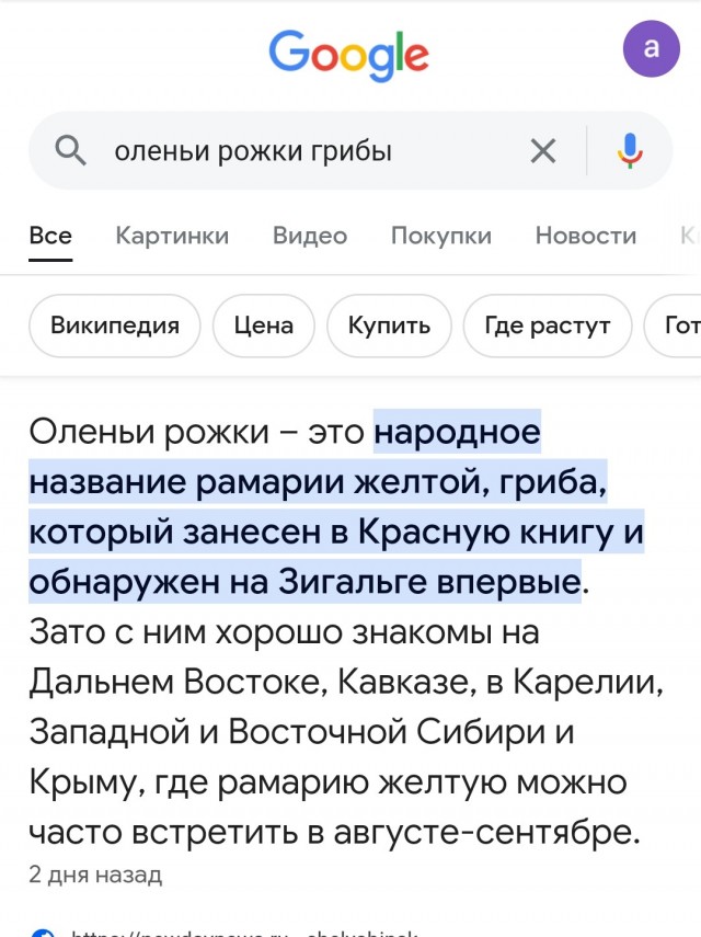 Пожарить или отварить?