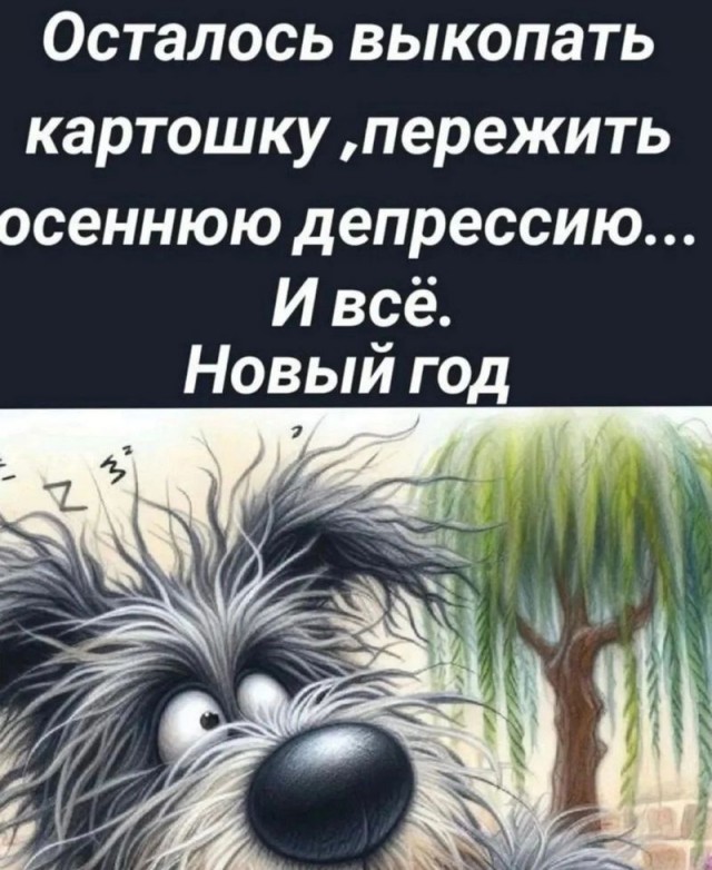 Завалялось тут случайно немного забавных картинок
