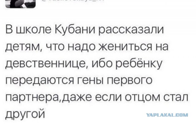 Веселые картинки к маленькой пятнице (28.08)