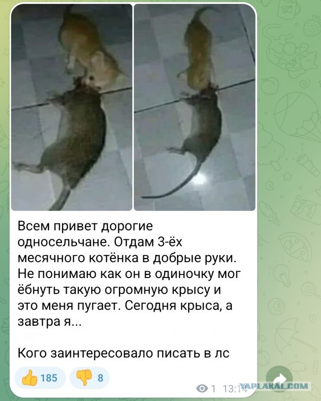 Про Пездово
