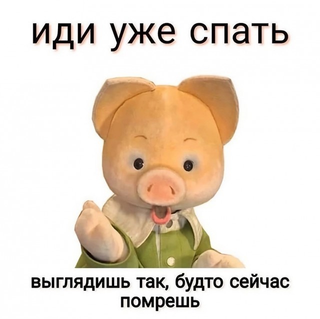 Прикольные и просто красивые картинки 12.11.2024