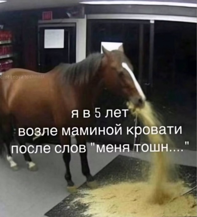 Картинок немного