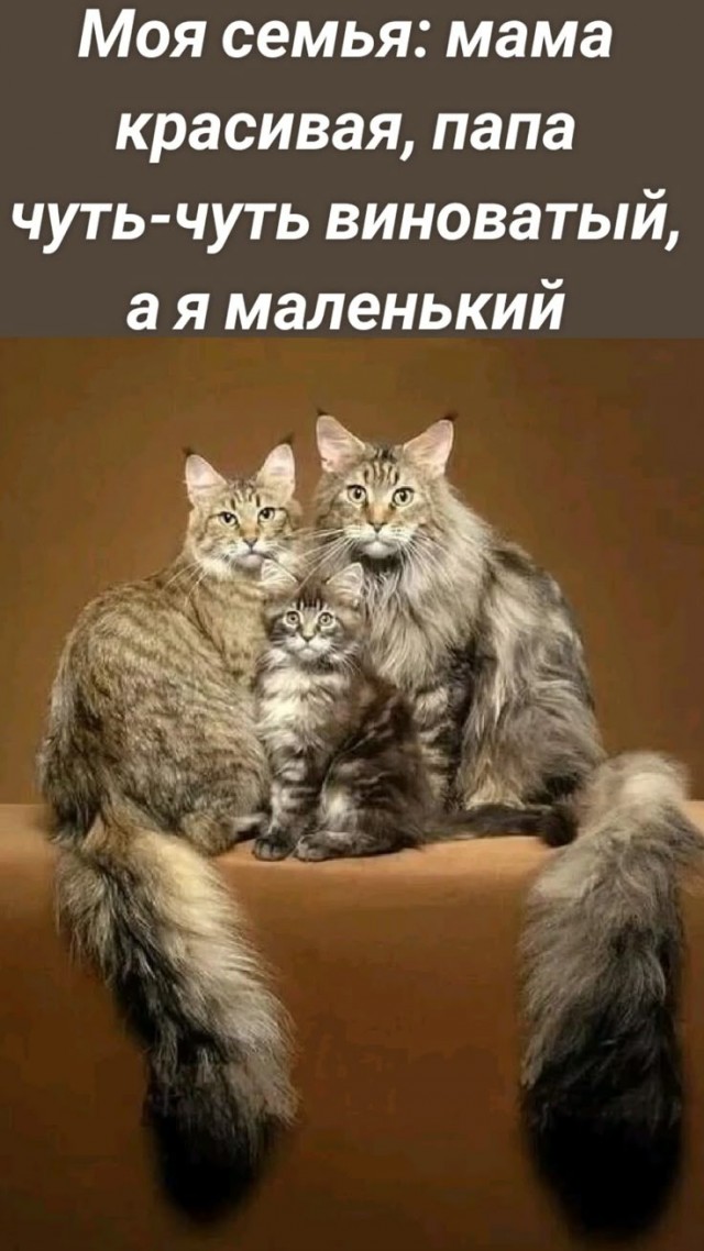 Прикольные и просто красивые картинки 06.05.2025