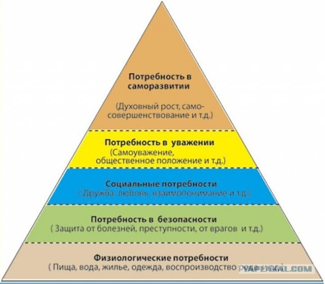 Разница между холостяком и женатым