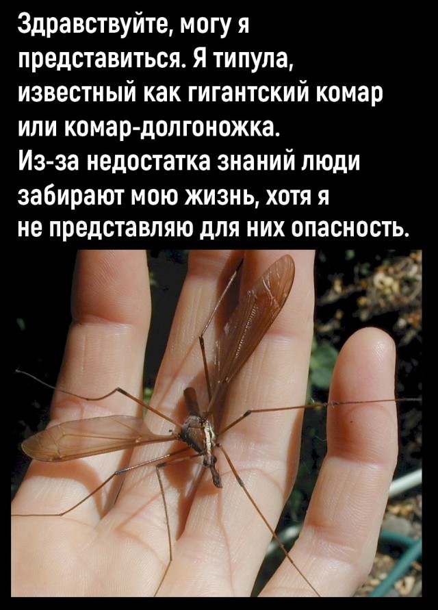 Так себе картинки 11.07.25
