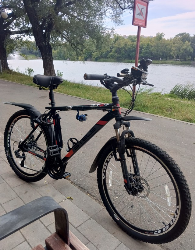 Где крылья?