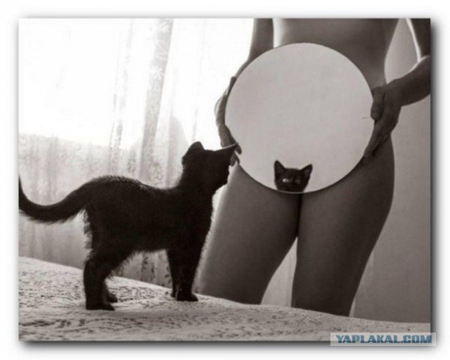 Его первый вторник