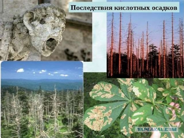 Динозавр